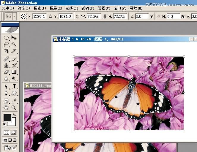 Photoshop制作漂亮的另列邮票效果,PS教程,思缘教程网