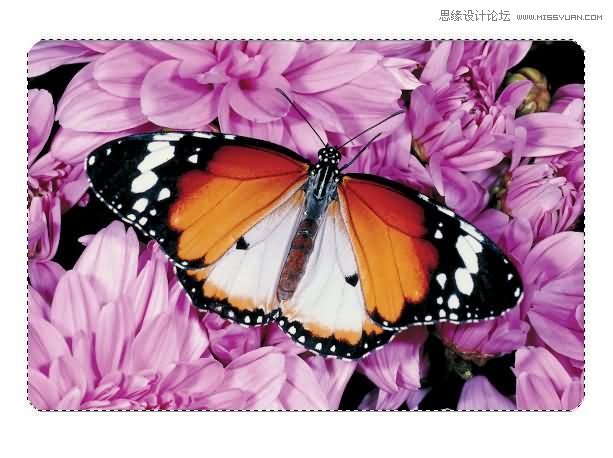 Photoshop制作漂亮的另列邮票效果,PS教程,思缘教程网