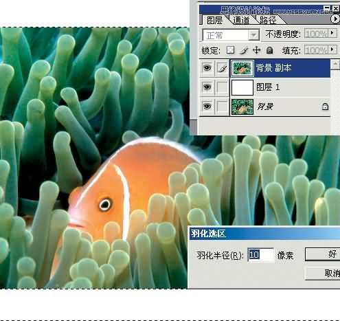 Photoshop制作漂亮的另列邮票效果,PS教程,思缘教程网