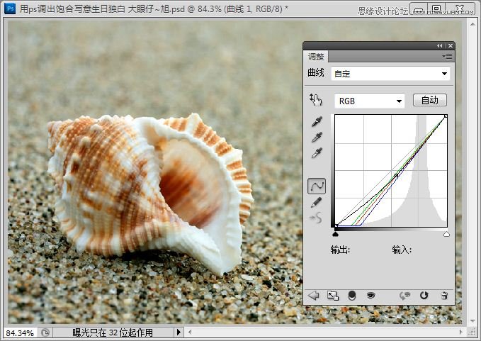 Photoshop快速调出写意海滩贝壳照片,PS教程,思缘教程网