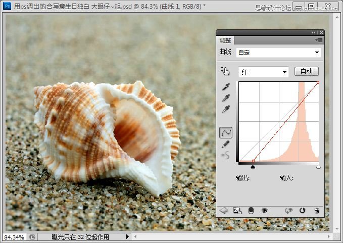 Photoshop快速调出写意海滩贝壳照片,PS教程,思缘教程网