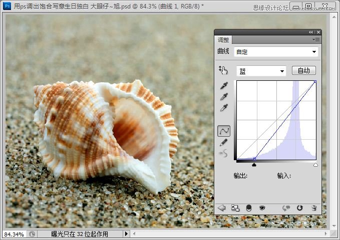 Photoshop快速调出写意海滩贝壳照片,PS教程,思缘教程网