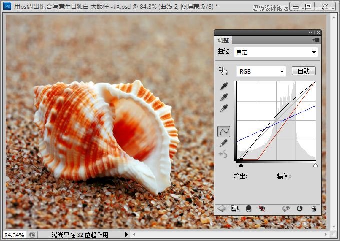 Photoshop快速调出写意海滩贝壳照片,PS教程,思缘教程网