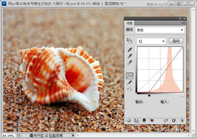 Photoshop快速调出写意海滩贝壳照片,PS教程,思缘教程网