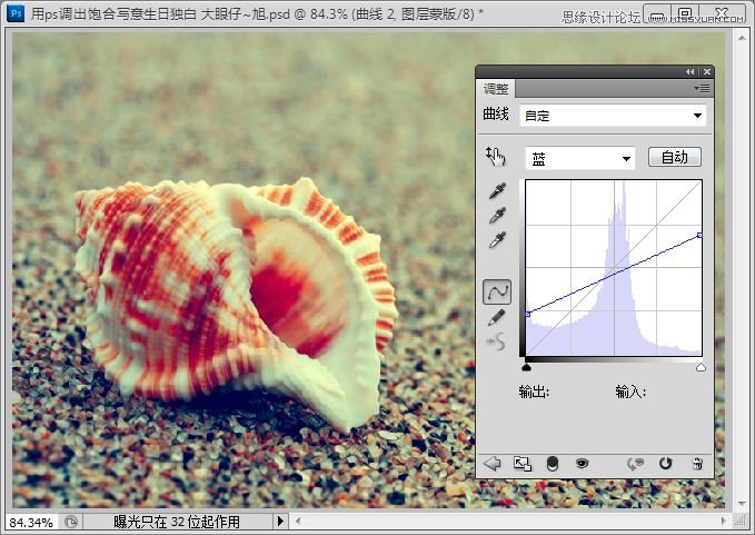Photoshop快速调出写意海滩贝壳照片,PS教程,思缘教程网