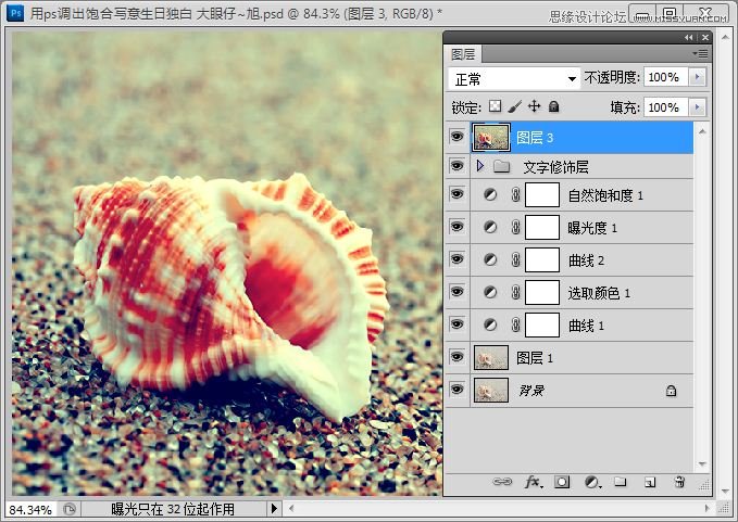Photoshop快速调出写意海滩贝壳照片,PS教程,思缘教程网
