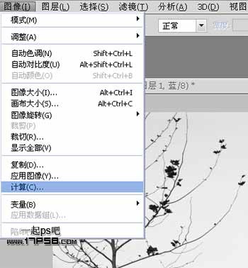 Photoshop使用通道和计算命令给树枝抠图,PS教程,思缘教程网