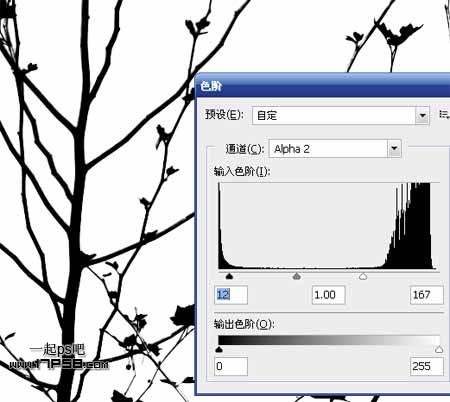 Photoshop使用通道和计算命令给树枝抠图,PS教程,思缘教程网