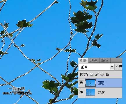 Photoshop使用通道和计算命令给树枝抠图,PS教程,思缘教程网