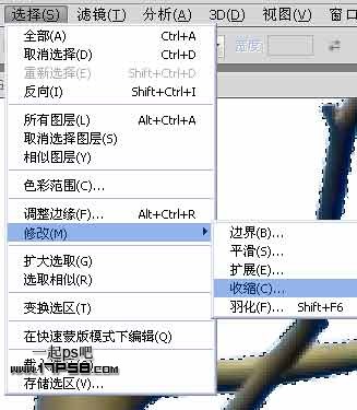 Photoshop使用通道和计算命令给树枝抠图,PS教程,思缘教程网