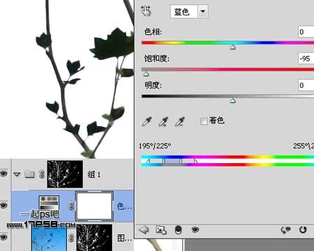 Photoshop使用通道和计算命令给树枝抠图,PS教程,思缘教程网