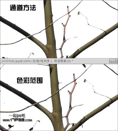 Photoshop使用通道和计算命令给树枝抠图,PS教程,思缘教程网