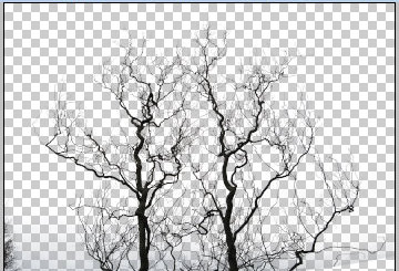 Photoshop合成教程：制作漂浮在空中的树屋