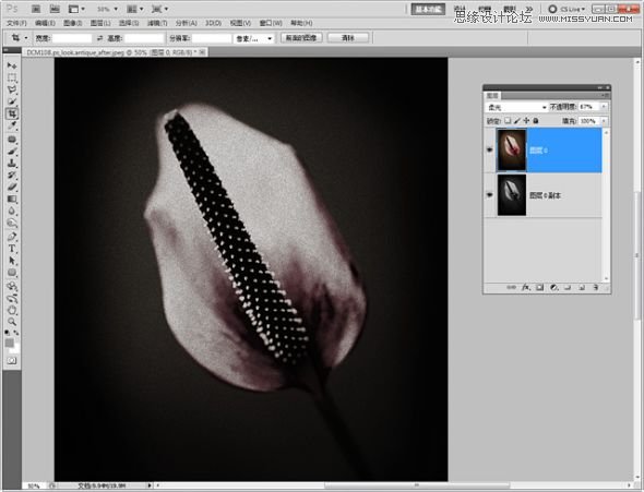 Photoshop调出怀旧的花朵教程,PS教程,思缘教程网
