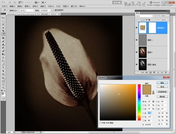 Photoshop调出怀旧的花朵教程,PS教程,思缘教程网
