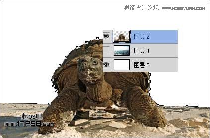 Photoshop创意合成乌龟海岛,PS教程,思缘教程网