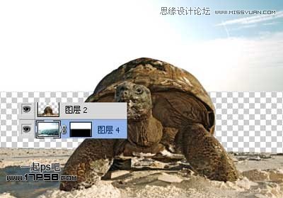 Photoshop创意合成乌龟海岛,PS教程,思缘教程网