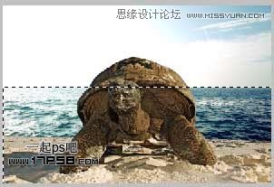 Photoshop创意合成乌龟海岛,PS教程,思缘教程网