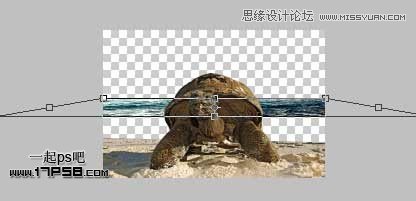 Photoshop创意合成乌龟海岛,PS教程,思缘教程网