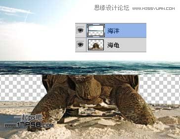Photoshop创意合成乌龟海岛,PS教程,思缘教程网