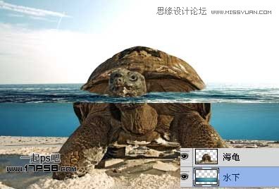 Photoshop创意合成乌龟海岛,PS教程,思缘教程网