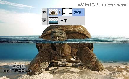 Photoshop创意合成乌龟海岛,PS教程,思缘教程网
