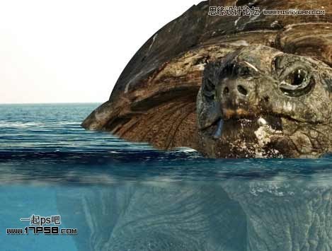 Photoshop创意合成乌龟海岛,PS教程,思缘教程网