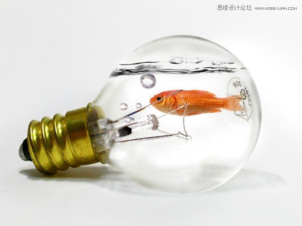 PhotoShop合成教程：创意合成灯泡中的金鱼