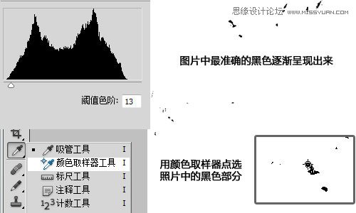 Photoshop利用曲线修正灰蒙蒙花朵图片,PS教程,思缘教程网