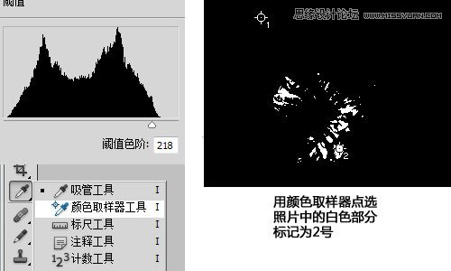Photoshop利用曲线修正灰蒙蒙花朵图片,PS教程,思缘教程网