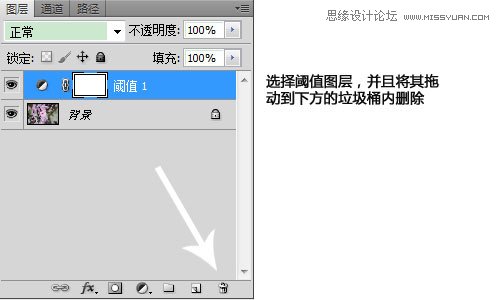 Photoshop利用曲线修正灰蒙蒙花朵图片,PS教程,思缘教程网