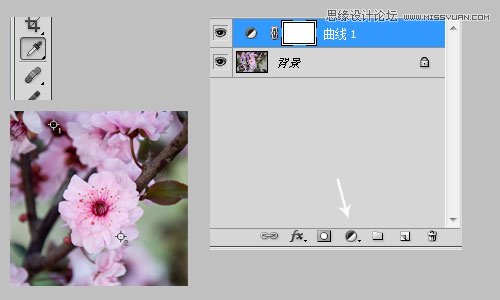 Photoshop利用曲线修正灰蒙蒙花朵图片,PS教程,思缘教程网