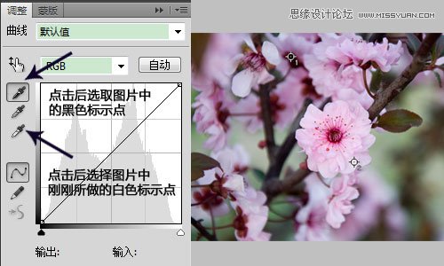 Photoshop利用曲线修正灰蒙蒙花朵图片,PS教程,思缘教程网
